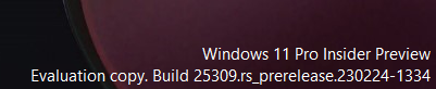 Watermark showing Build 25309 on Windows 11